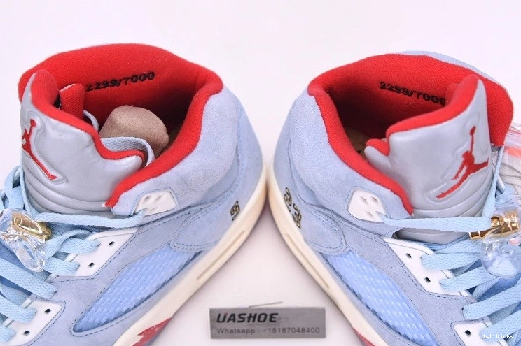 5 Jordan Trophy Ice Blue CI1899 Retro  400  Room - 1020